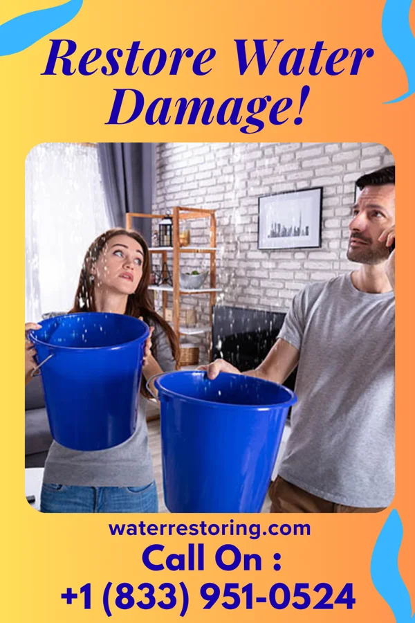water restoration Allied Water Removal Inc Walnutport