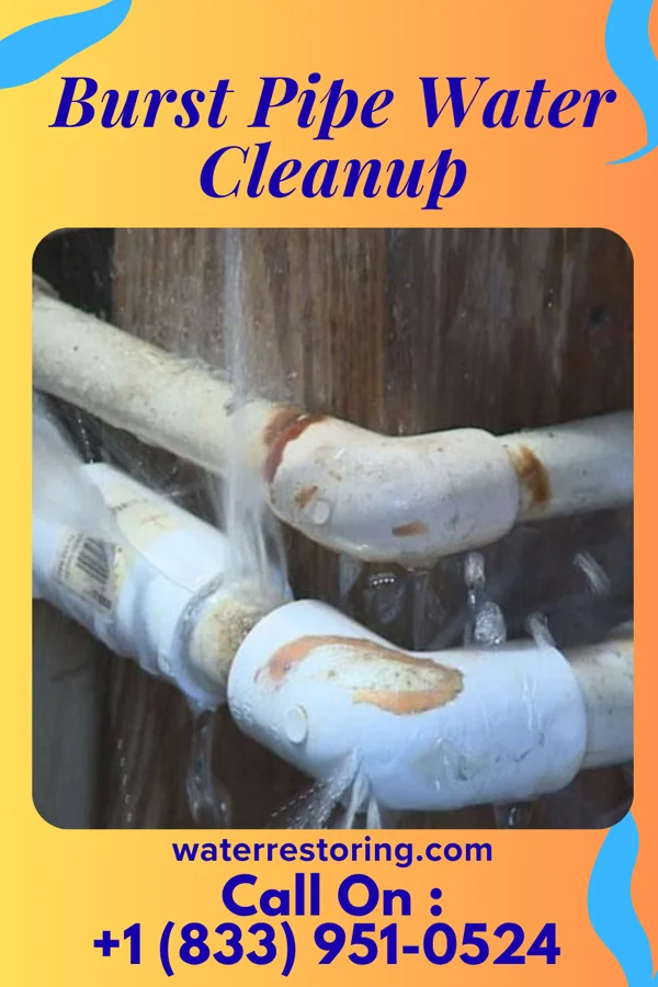 Burst Pipe Water Cleanup in Walnutport, PA