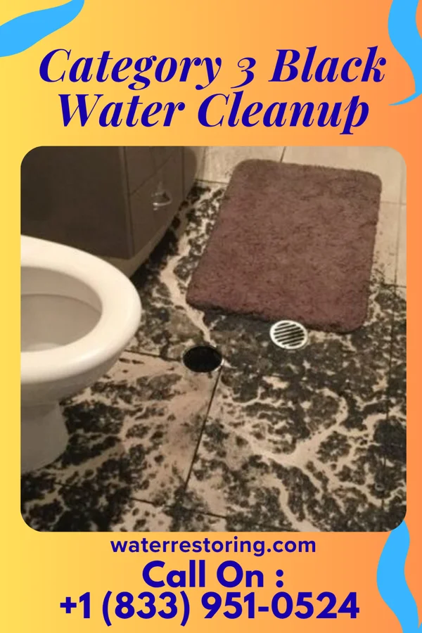 Category 3 Black Water Cleanup in Walnutport, PA