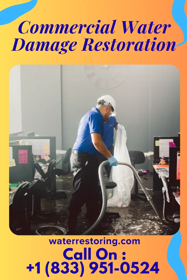 Commercial Water Damage Restoration in Walnutport, PA