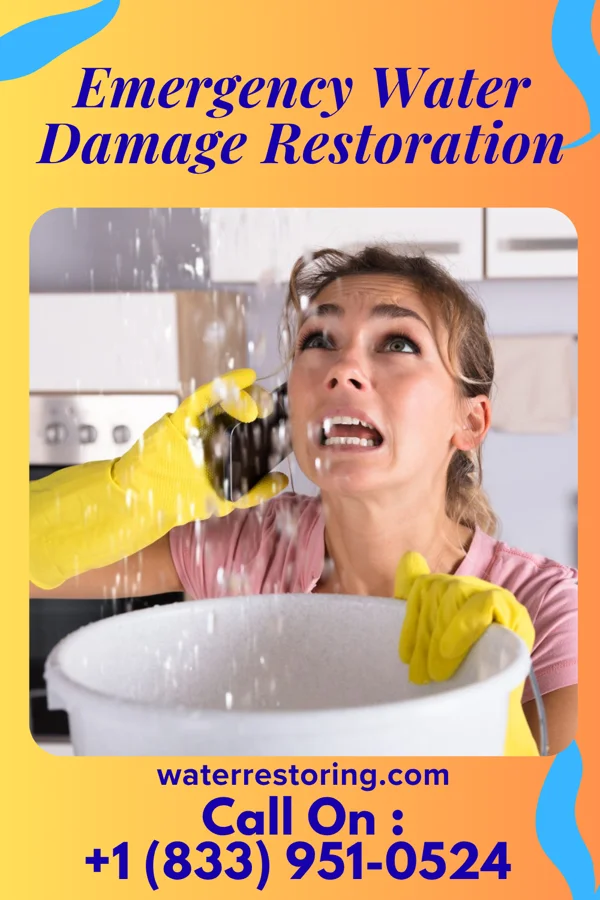 Emergency Water Damage Restoration in Walnutport, PA