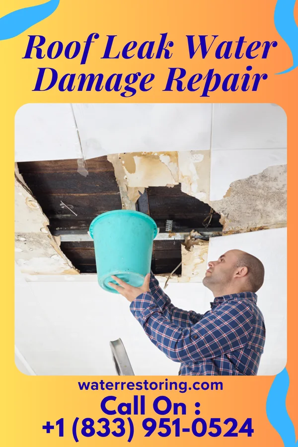 Roof Leak Water Damage Repair in Walnutport, PA
