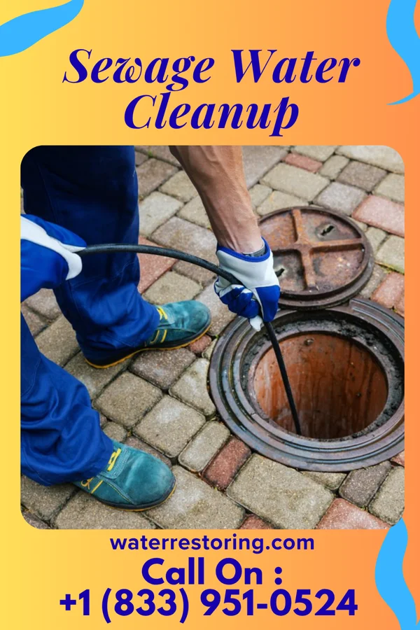 Sewage Water Cleanup in Walnutport, PA