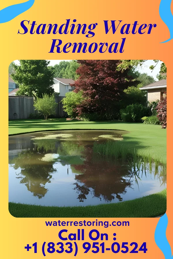 Standing Water Removal in Walnutport, PA